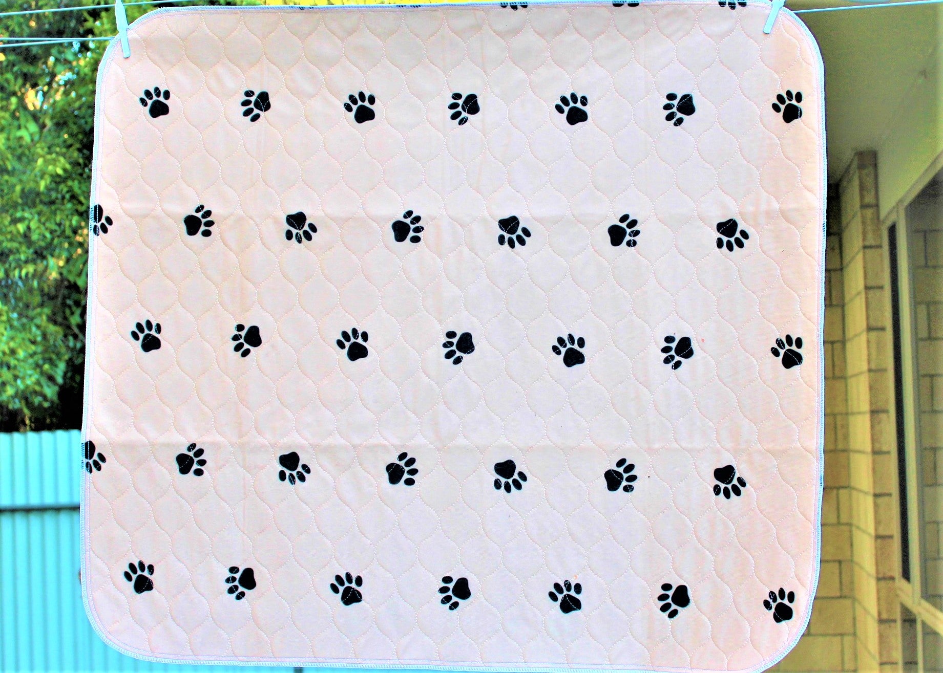 Absorbent pads for pet travel best sale